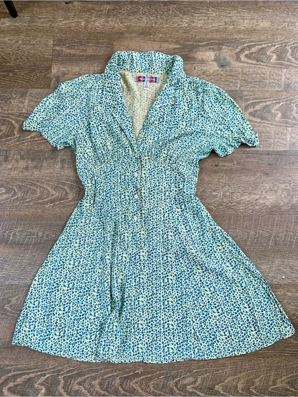 Urban Outfitters Cottage Blue Floral Button-Front Dress